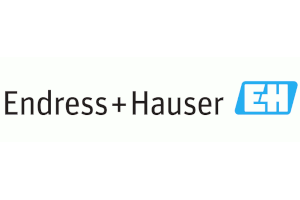 Endress Hauser Level Pressure Germany