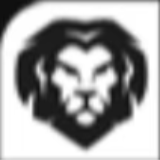 Liontron GmbH Co. KG