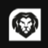 Liontron GmbH Co. KG