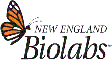 New England Biolabs GmbH