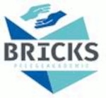 BRICKS Pflegeakademie gGmbH