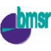 bau msr GmbH