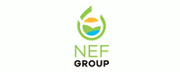 NEF Förderungs GmbH
