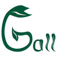 Ganzheitliche Physiotherapie Gall