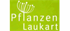 Pflanzen Laukart