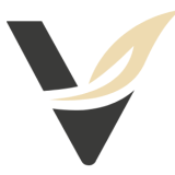 Verus Salus GmbH